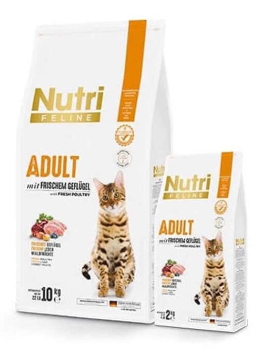 Nutri Feline Tavuklu Yetişkin Tahılsız Kedi Maması 10 kg
