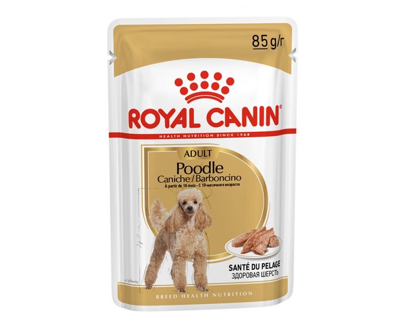 Royal Canin Pouch Poodle Irkı Özel Yaş Köpek Maması 12X85GR