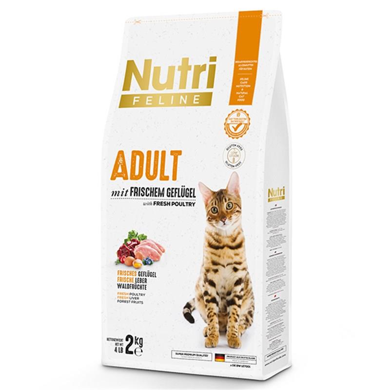 Nutri Feline Adult Poultry Kümes Hayvanlı Yetişkin Kedi Maması 2 Kg