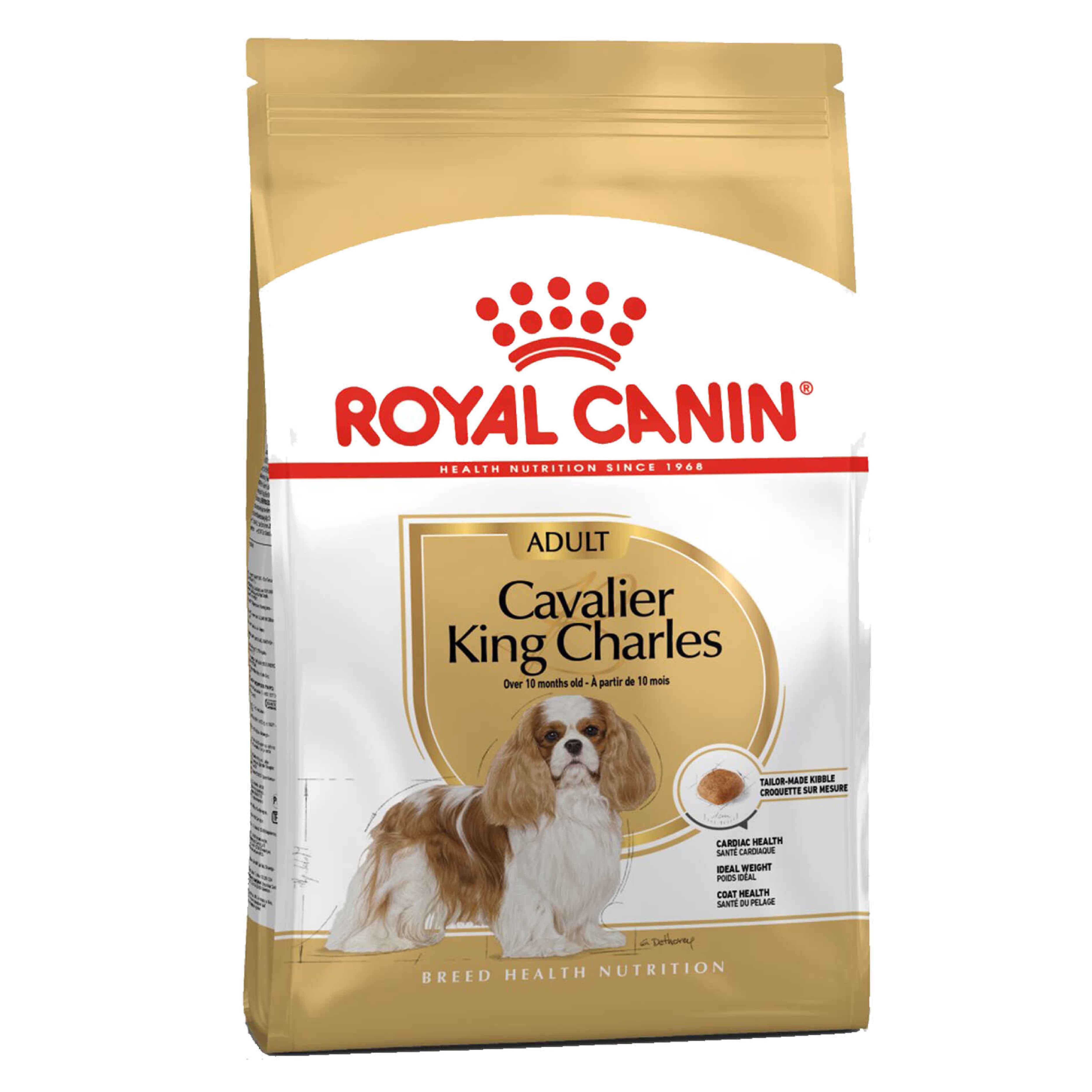 Royal Canin Cavalier King Charles 27 Yetişkin Köpek Maması 1,5 Kg