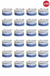 Shinycat Jelly (Jöle içinde) Kitten Tuna (Ton Balığı) Yavru kediler için Konserve Kedi Maması 70 grx24Adet