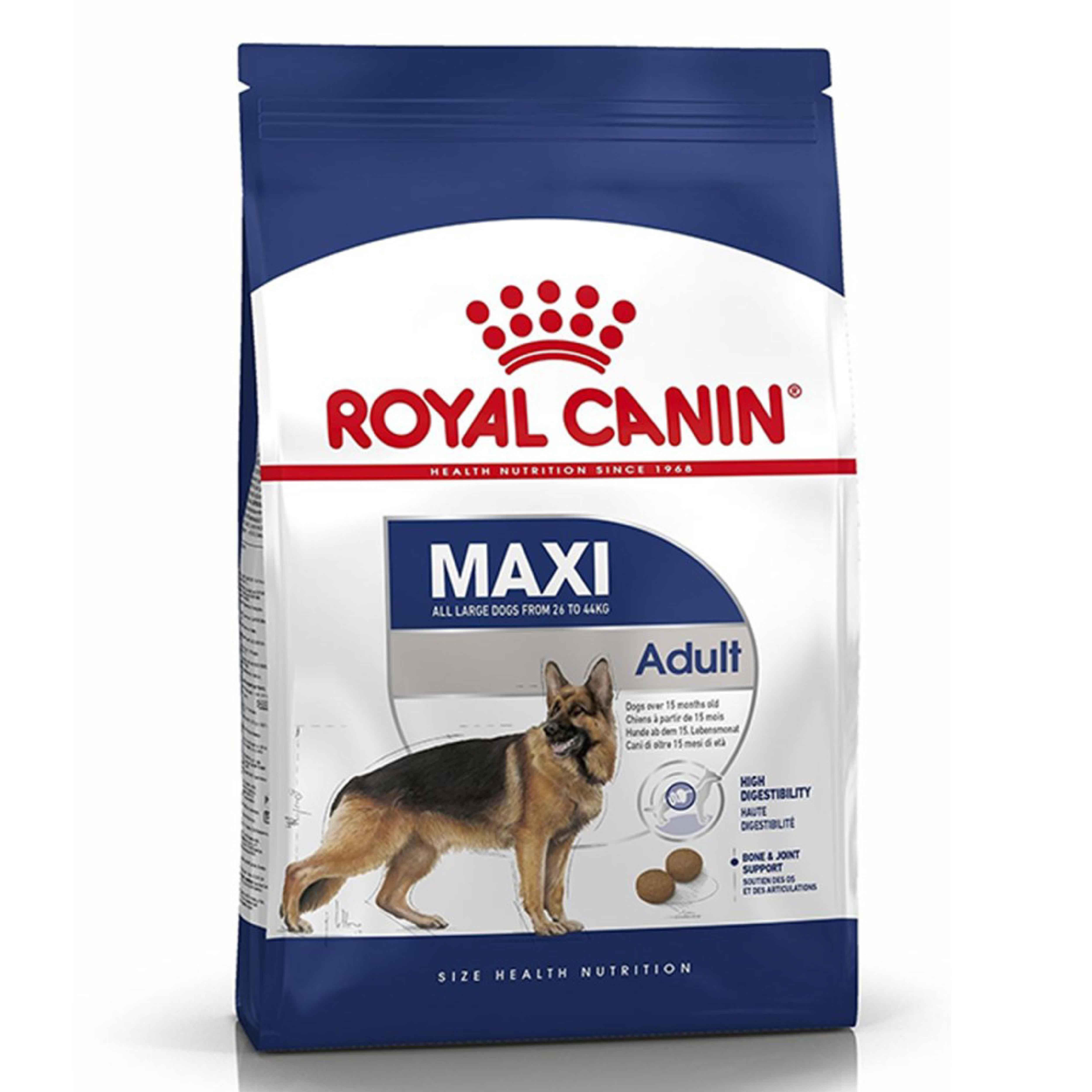 Royal Canin Maxi Adult Büyük Irk Yetişkin Kuru Köpek Maması 15 Kg