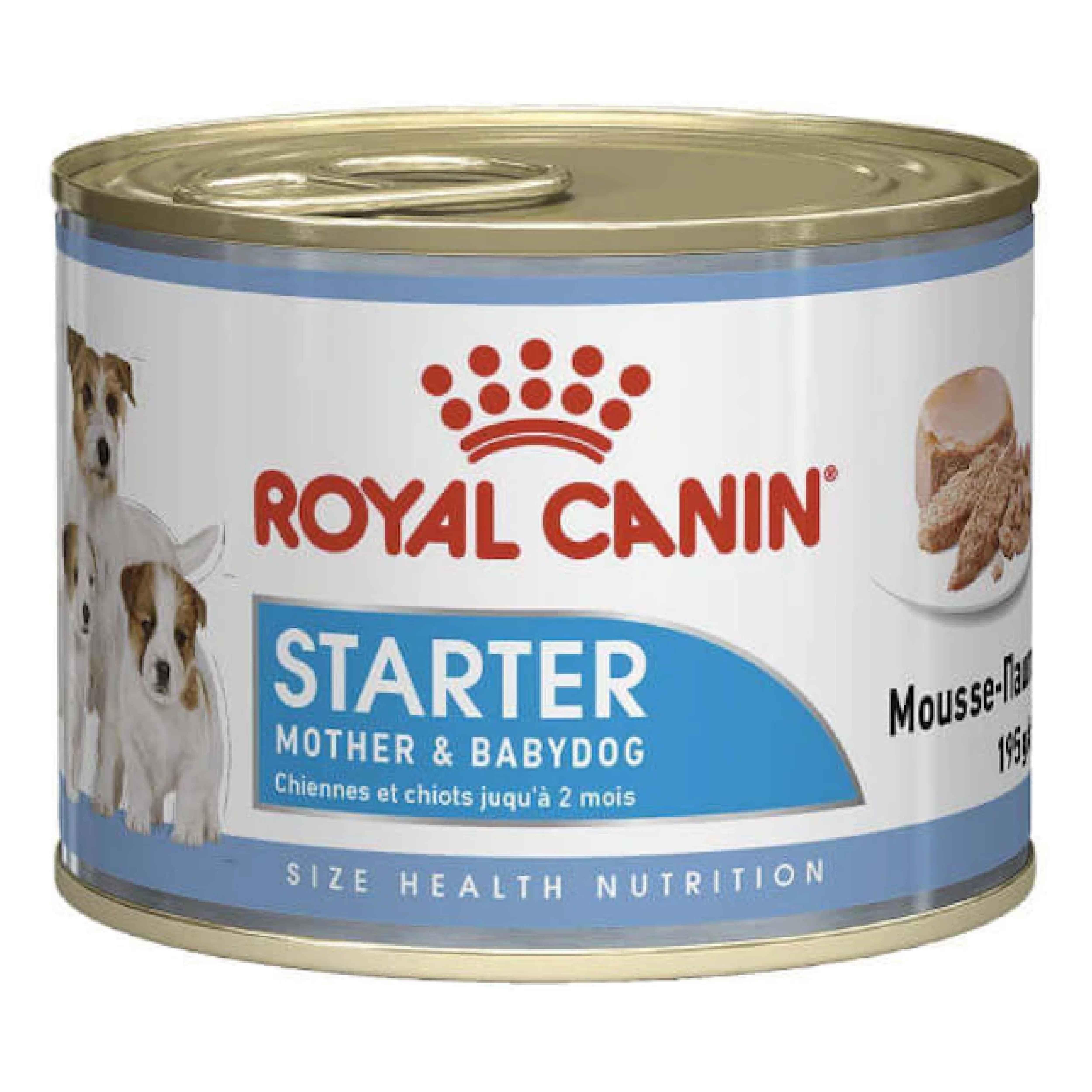Royal Canin Starter Mousse Anne ve Yavruları İçin Köpek Konservesi 195 Gr
