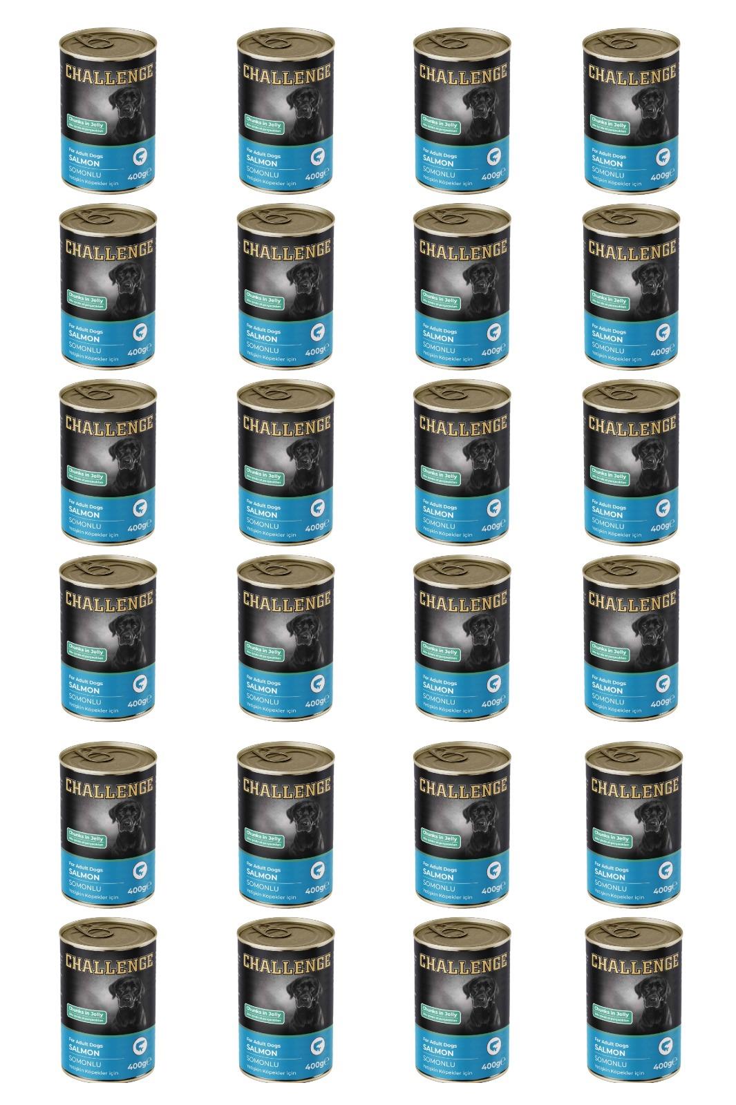 Challenge somonlu yetişkin köpek konservesi 400 gr x 24 adet