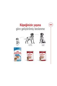Royal Canin Medium Adult Orta Irk Köpek Konservesi 410 Gr