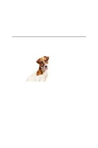 Royal Canin Loaf Mousse Küçük Irk Ezme Yetişkin Köpek Konservesi 195gr
