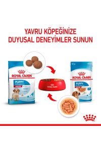 Royal Canin Medium Puppy Gravy Yavru Köpek Konservesi 10 Adet 140 Gr