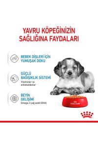 Royal Canin Medium Puppy Gravy Yavru Köpek Konservesi 10 Adet 140 Gr