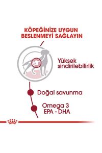 Royal Canin Medium Adult Gravy Yetişkin Köpek Konservesi 10 Adet 140 Gr