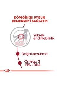 Royal Canin Medium Adult Gravy Yetişkin Köpek Konservesi 10 Adet 140 Gr