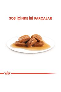 Royal Canin Maxi Adult Yetişkin Köpek Yaş Maması 140 Gr x 10 Adet