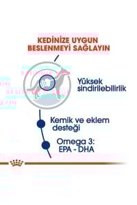 Royal Canin Maxi Adult Yetişkin Köpek Yaş Maması 140 Gr x 10 Adet