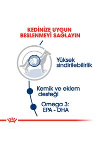 Royal Canin Maxi Adult Yetişkin Köpek Yaş Maması 140 Gr x 10 Adet