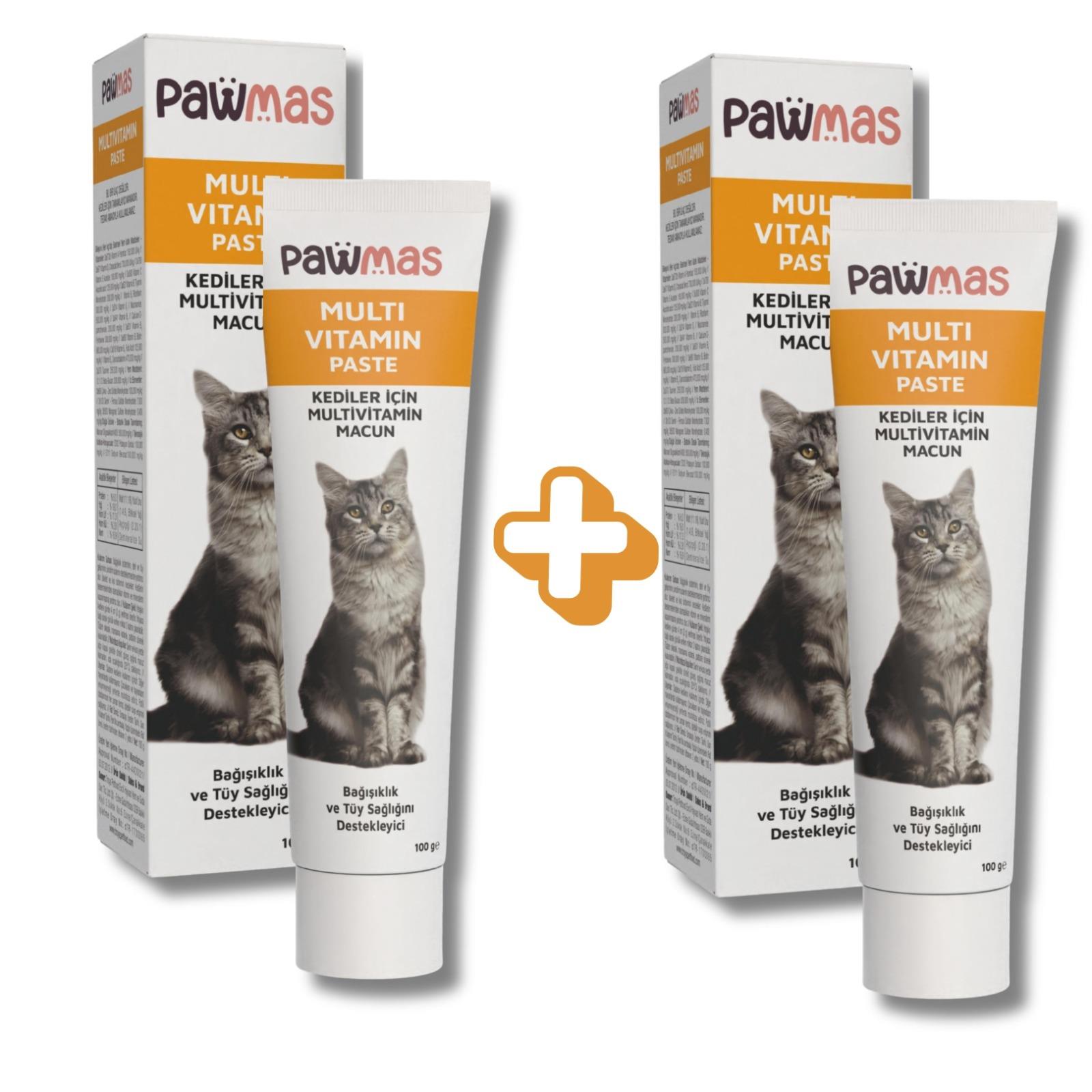 Pawmas Multivitamin Kedi macunu 100gr X 2 Adet