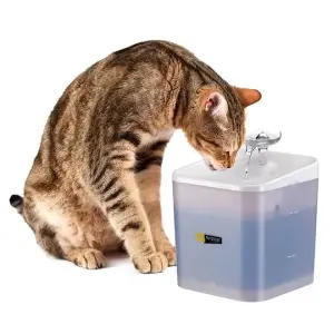 Ferplast Ares Otomatik Su Şelalesi