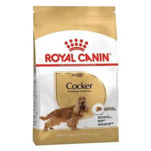 Royal Canin Cocker Adult Yetişkin Köpek Maması 3 Kg