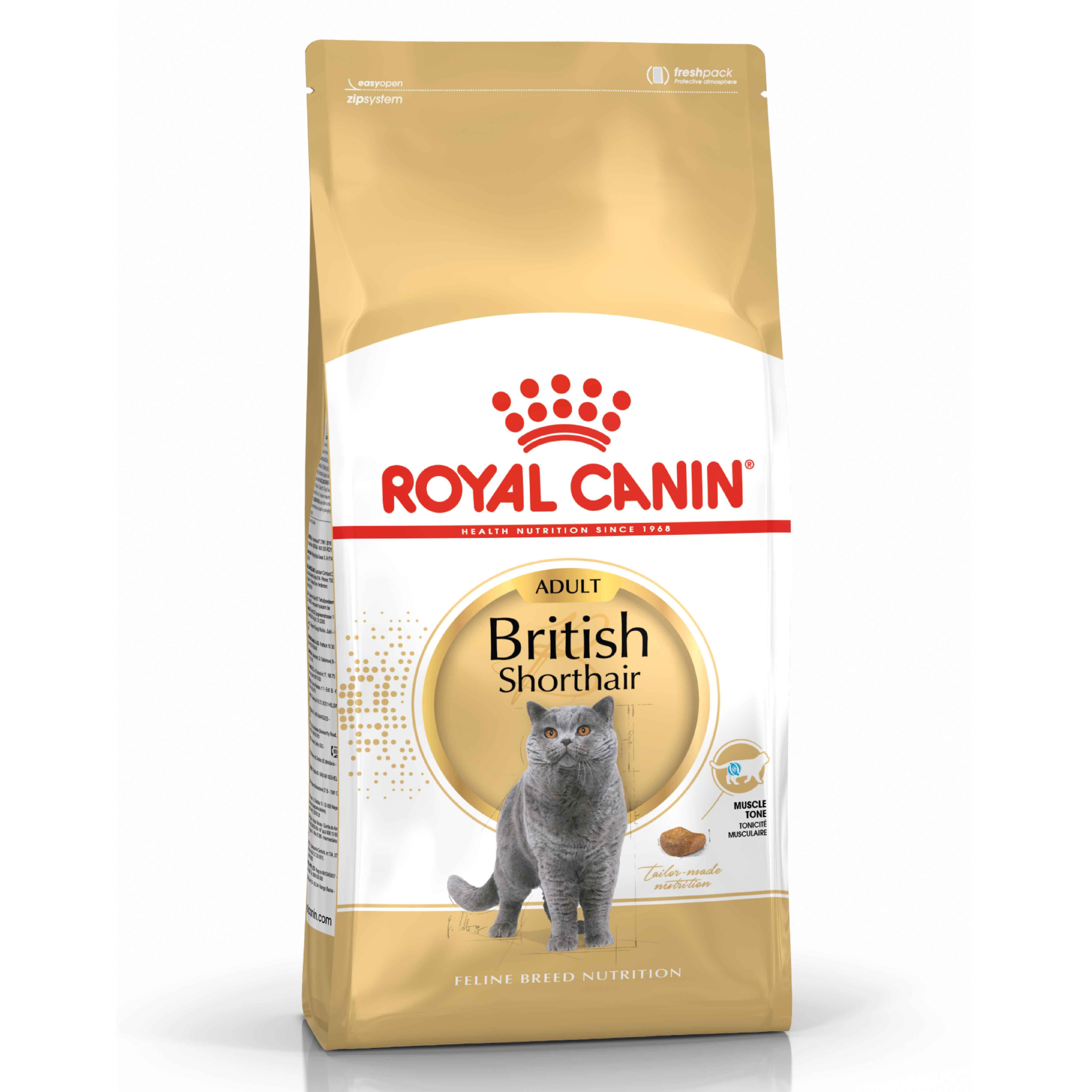 Royal Canin British Shorthair Adult Yetişkin Kedi Maması 10 Kg