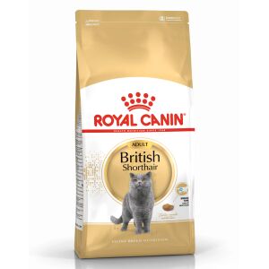 Royal Canin British Shorthair Adult Kedi Kuru Maması 2 Kg