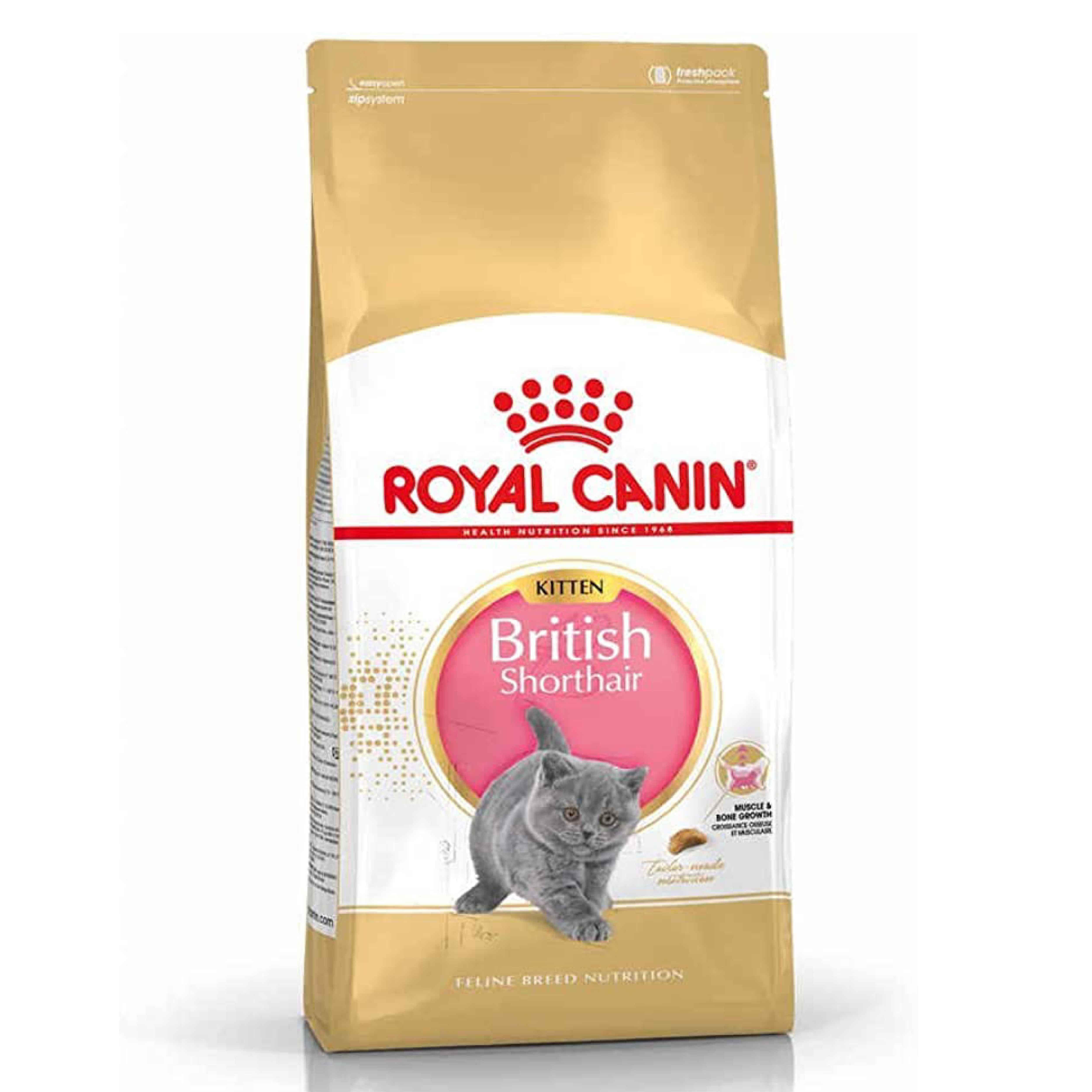 Royal Canin British Shorthair Kitten Kedi Kuru Maması 2 Kg