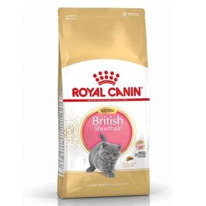 Royal Canin British Shorthair Kitten Kedi Kuru Maması 2 Kg