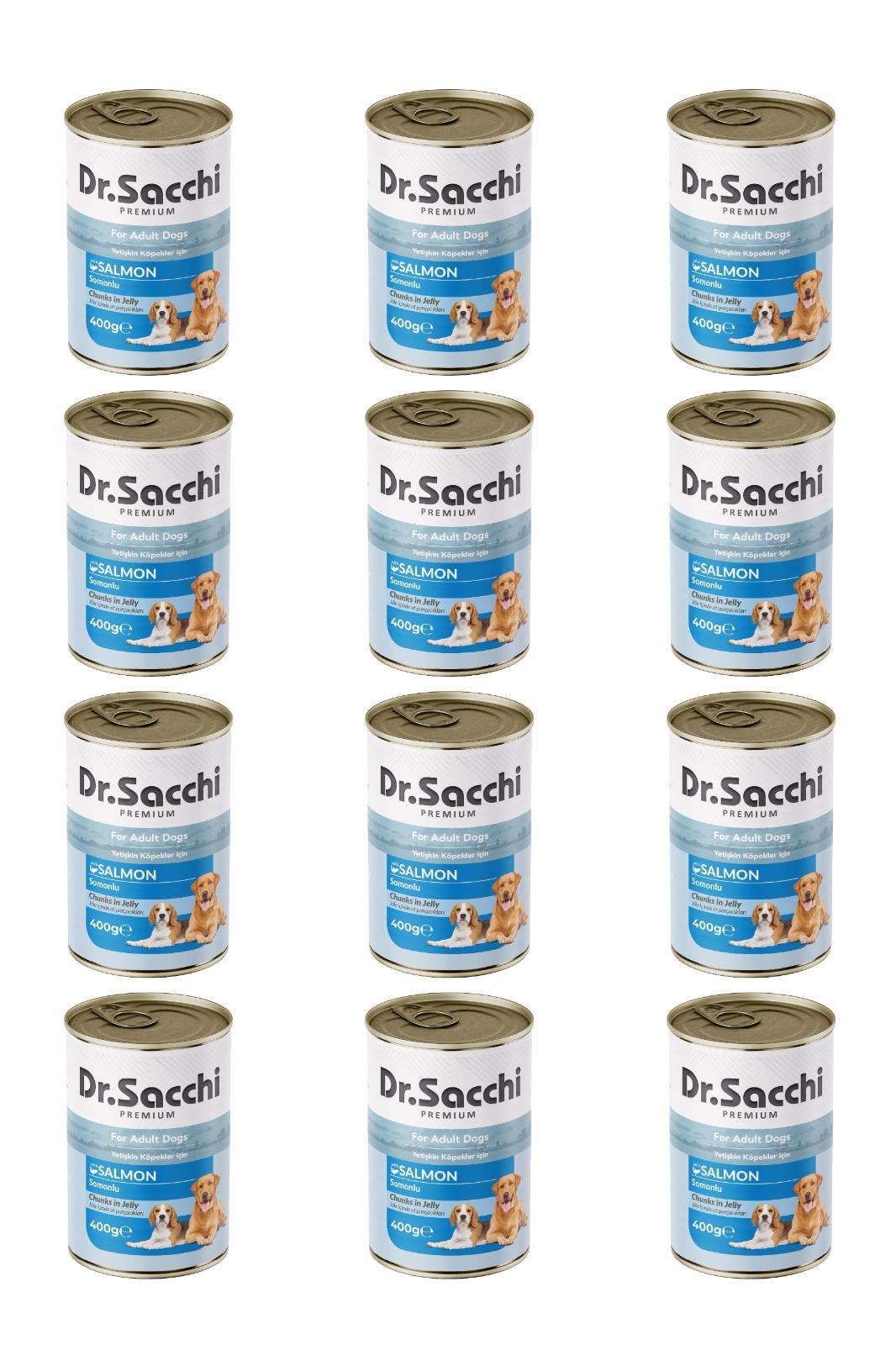 Dr.Sacchi yetişkin köpek-somonlu 400gr x 12 adet