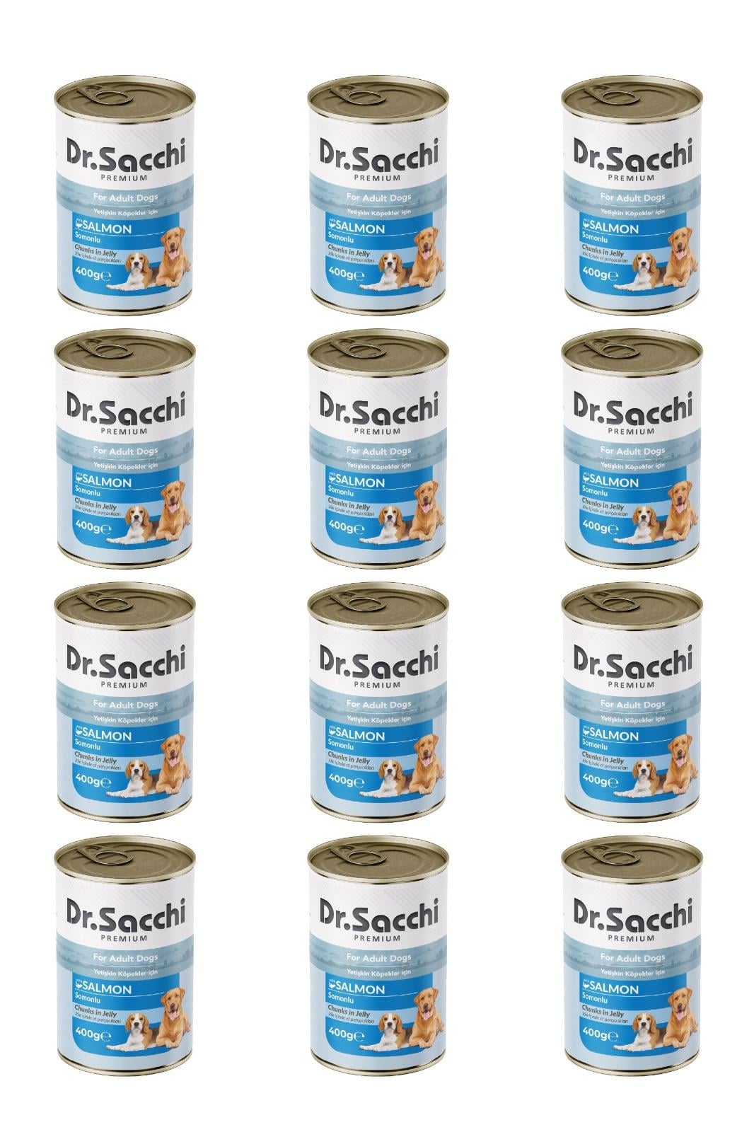 Dr.Sacchi yetişkin köpek-somonlu 400gr x 12 adet