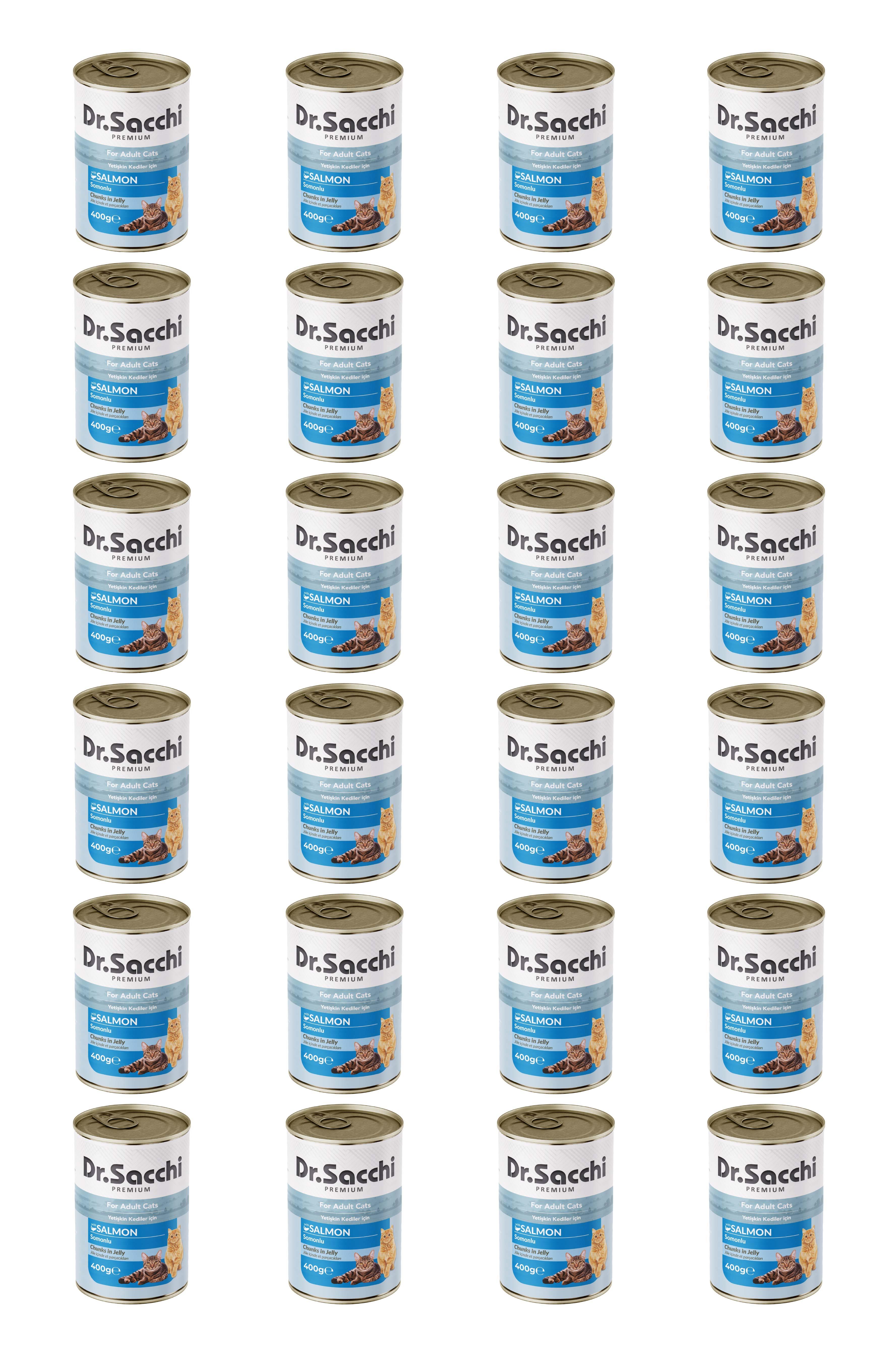 Dr.Sacchi yetişkin kedi-somonlu 400gr x 24 adet