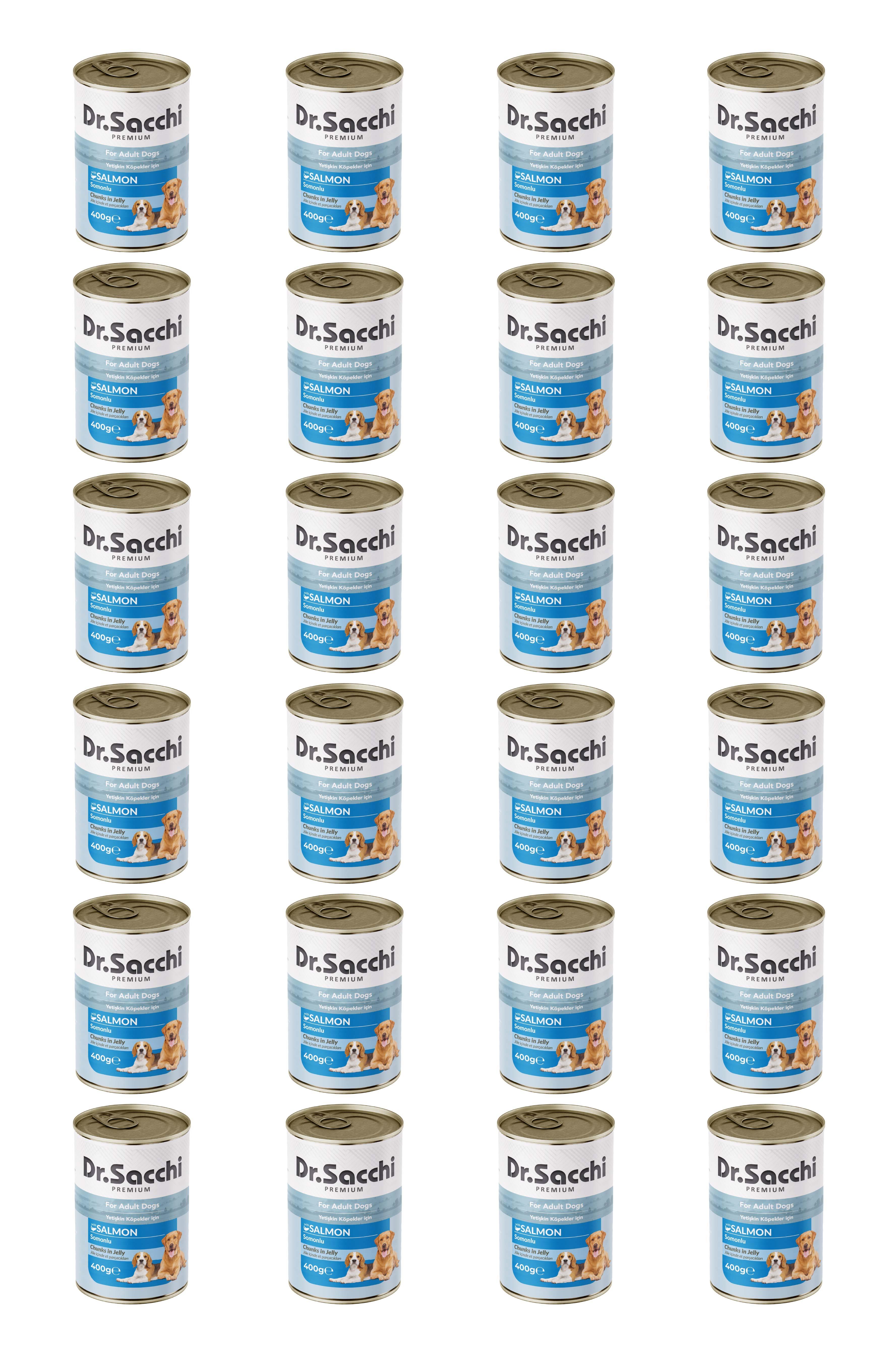 Dr.Sacchi yetişkin köpek-somonlu 400gr x 24 adet