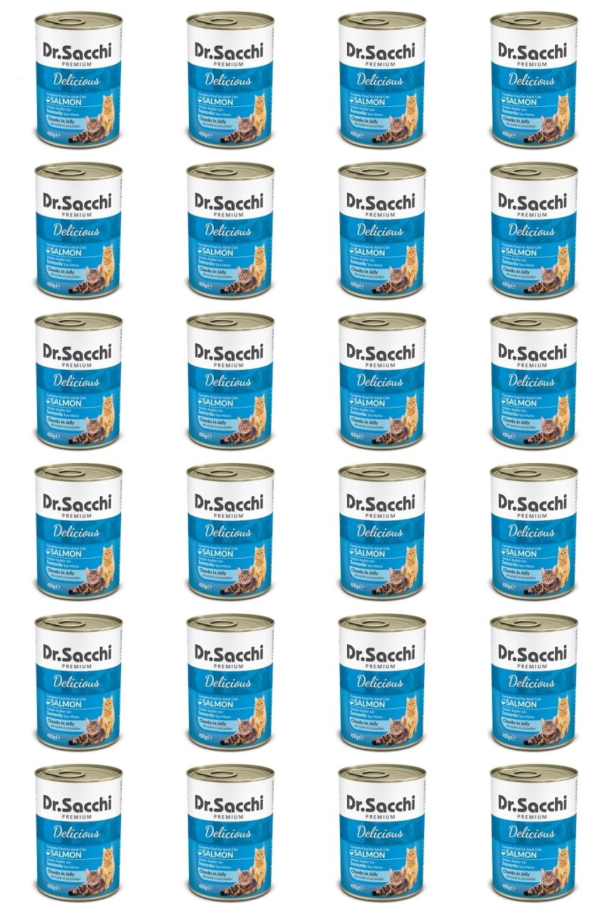 Dr.Sacchi Konserve Kedi Somonlu 400gr x 24 Adet